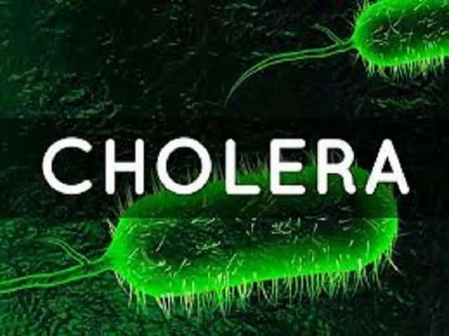 "54 Persons Died Of Cholera In 5months" - NCDC