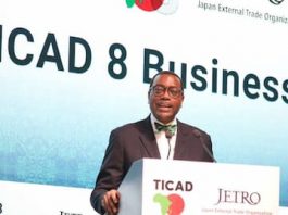 Africa’s renewable energy resources offer huge investment opportunities for Japanese business – Dr Akinwumi Adesina