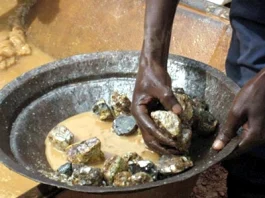 'Export Of Raw Gold Will Be Another Crude Oil Mistake'