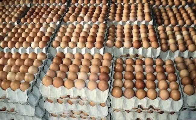 Poultry Famers Lament ₦30bn Loss, Blame Cash Crunch