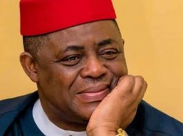 UK Envoy Frowns On Fani-Kayode's Controversial Comments
