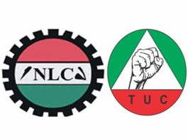 NLC, TUC Suspend Planned Strike