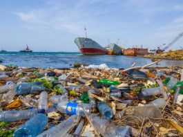 World Environment Day: Combating Plastic Pollution And Embracing Sustainable Alternatives