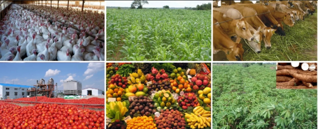 AFCFTA