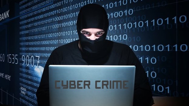 Cyber -criminal