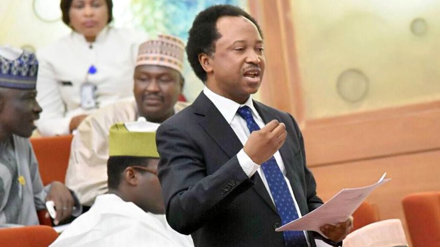Shehu Sani To FG: Focus On Agriculture And Security Industry