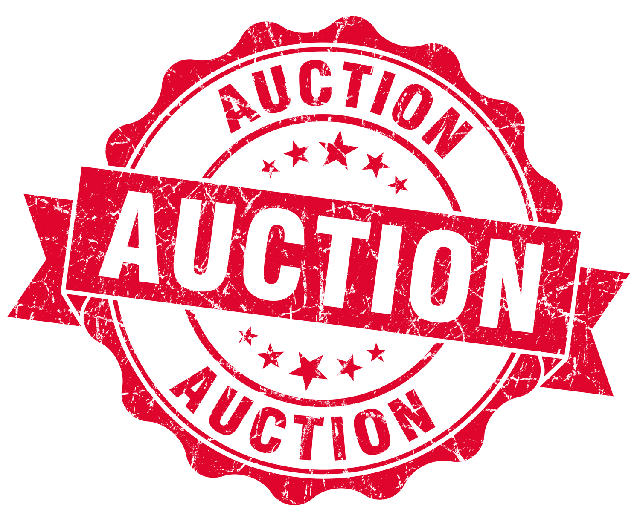 Property auction