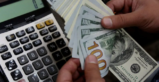 Stears Africa FX Monitor Predicts Continued Naira Volatility