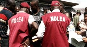 NDLEA Seizes Drugs Concealed In Tomato Paste Containers