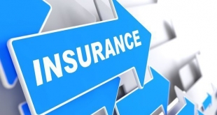 Insurance Sector Contributed 8.6% To Financial Sector