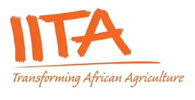 Releaf Partners IITA To Improve Growth and Sustainability In Oil Palm Production