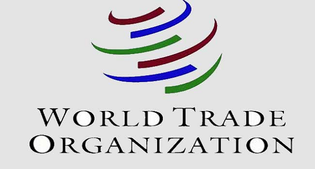 Gulf fertiliser disruption raises food security risks for Africa, WTO warns