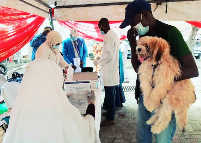 Lagos State To Give 1.5 million Dogs Free Anti-Rabies Vaccination