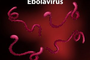 'Nigeria Is At Risk Of Importing Ebola Virus' - NCDC