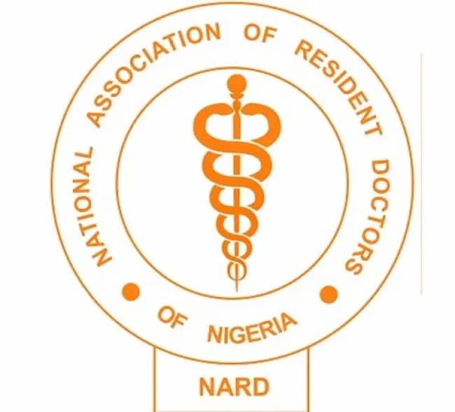 NARD Urges FG To Increase Health Sector Budget - BizWatchNigeria.Ng