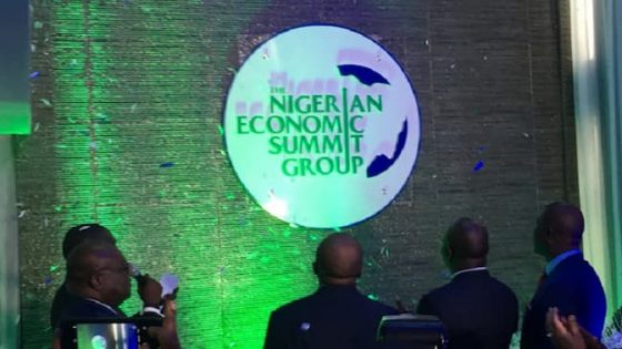 Nigeria Needs To Attain Sustainable Economic Growth - NESG