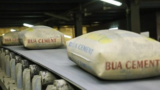 Why Cement Is Expensive In Nigeria -BUA