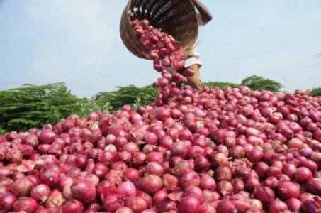 Nigeria's Annual Onions Output Hits 2 Million Metric Tonnes - FG