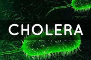 583 Nigerians Died Of Cholera In 2022 – NCDC