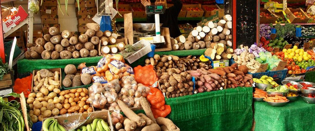 First Aquagrico Farms To Build Nigeria's Largest Farmer's Market