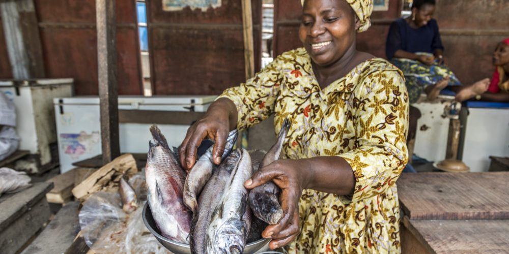Fish, Chicken Prices To Increase, Here's Why