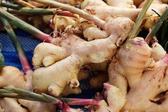 How To Make Money From Ginger Farming