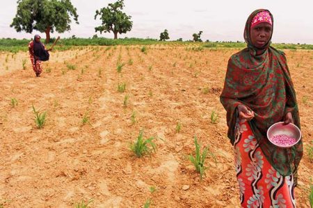 Why 4.5m Nigerians Lack Food Security -IMF