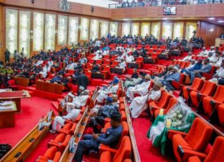 State Police: Nigeria’s long walk to decentralised security finally gathers pace