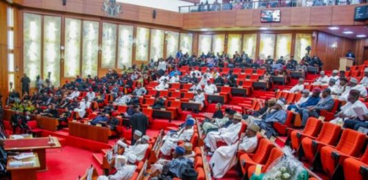 Senate Approves $800m Loan For Safety Net Programme