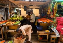 Adamawa Leads Nigeria’s Cheapest Food Markets as NBS Ranks Top 10 States Food Insecurity: Ignore IMF, FG Tells Nigerians