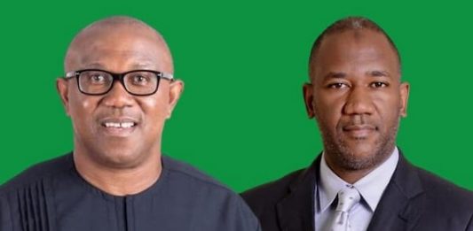 2023 Elections: 'Our Message Is Uniting Nigerians' - Labour Party