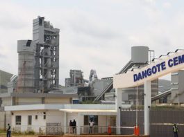 MAN: Dangote Cement Invasion Will Discourage Investors