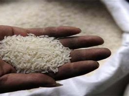 Nigeria To Start Rice Exportation To Egypt
