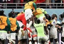 Africa’s Football Champions Advance To World Cup Round Of 16
