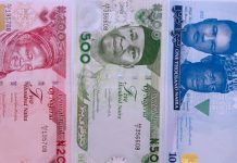 Naira Strengthens At Official Market As FX Liquidity Improves CBN Clarifies Rumours On New Naira Notes