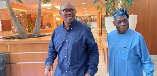 APC Demeans Obasanjo's Support For Peter Obi