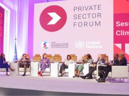 LDC 5th United Nations Conference in Doha: Delphine Traoré advocates for greater private sector engagement in achieving sustainable solutions for Africa's prosperity