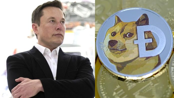 How Elon Musk’s Twitter Surges Crypto With Meme-inspired Logo