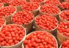Senate moves to modernise agricultural education, research to boost food security Eid-Kabir: Food Prices, Transportation Hit Rooftop