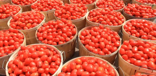 Eid-Kabir: Food Prices, Transportation Hit Rooftop