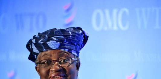 Nigeria Becomes 2nd WTO Member To Accept Agreement On Fisheries Subsidies