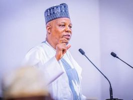 FG Did Not Apply To Join BRICS - Shettima