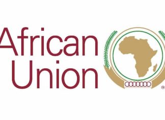 African Union reaffirm continental energy integration and flagship investments at STC meeting African Union Suspends Niger Over Coup