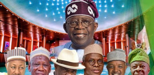 Tinubu Ministerial List: What Should Matter! - Adetola Odusote