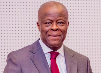 Edun calls for urgent fiscal reforms to curb $88bn annual illicit financial flows in Africa