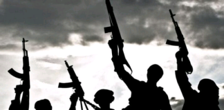 Police confirm 11 killed in bandit attack on Katsina village