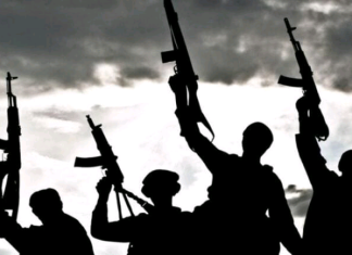 Police confirm 11 killed in bandit attack on Katsina village