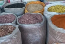 Kaduna Farmers Seek N10bn Bailout Following Massive 2025 Grain Losses