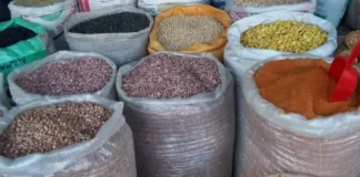 Kaduna Farmers Seek N10bn Bailout Following Massive 2025 Grain Losses