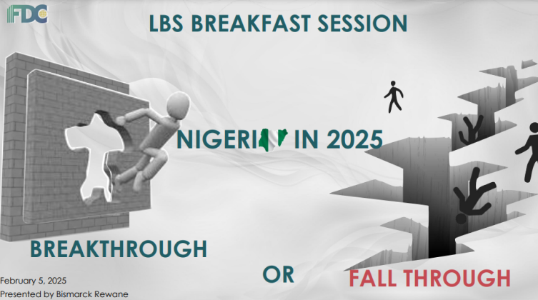 Nigeria In 2025 A Defining Crossroad Between And Breakdown Screenshot 2025 02 10 114134 753x420 
